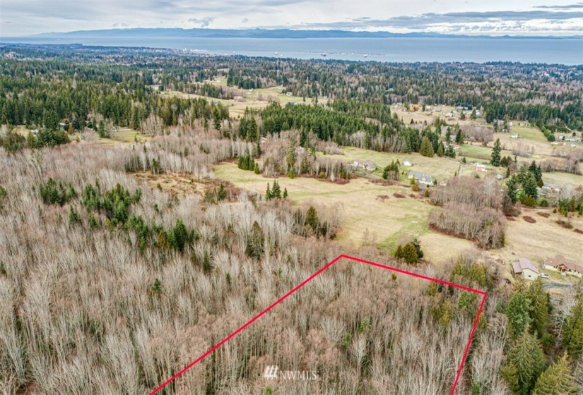 9999 Black Bear (Lot 8), Port Angeles, Washington 98362, ,Land,For Sale,Black Bear (Lot 8),NWM1879712