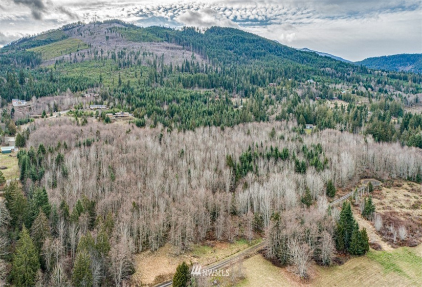 9999 Black Bear (Lot 8), Port Angeles, Washington 98362, ,Land,For Sale,Black Bear (Lot 8),NWM1879712
