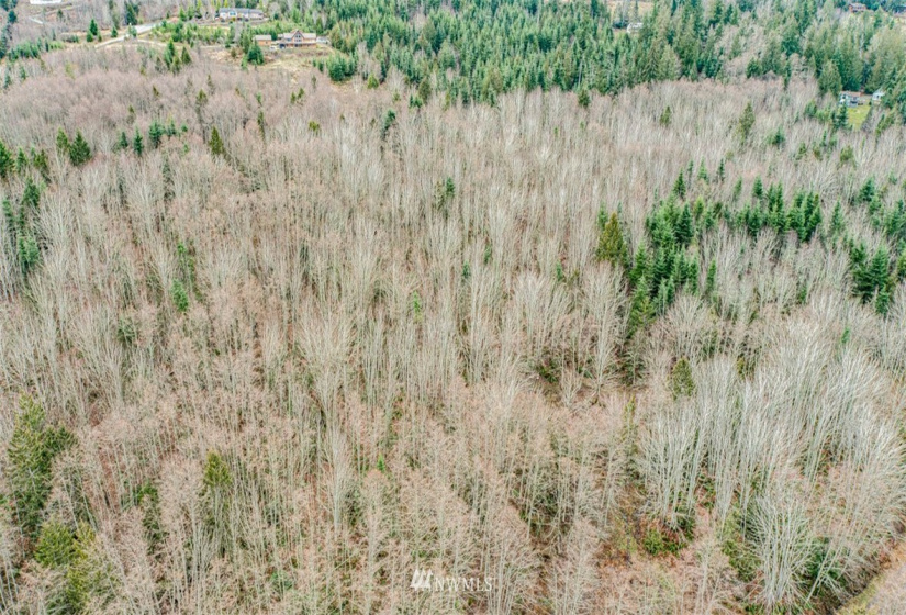 9999 Black Bear (Lot 8), Port Angeles, Washington 98362, ,Land,For Sale,Black Bear (Lot 8),NWM1879712