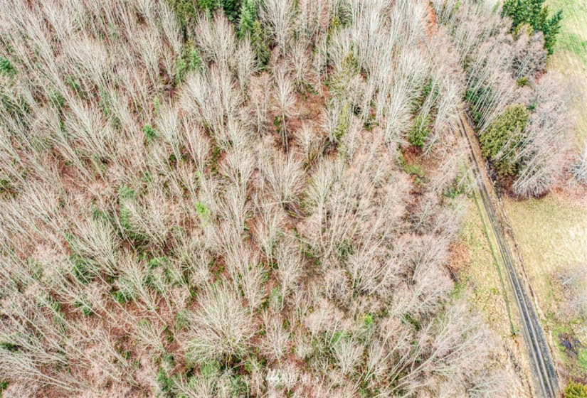 9999 Black Bear (Lot 8), Port Angeles, Washington 98362, ,Land,For Sale,Black Bear (Lot 8),NWM1879712