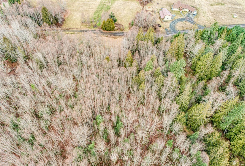 9999 Black Bear (Lot 8), Port Angeles, Washington 98362, ,Land,For Sale,Black Bear (Lot 8),NWM1879712