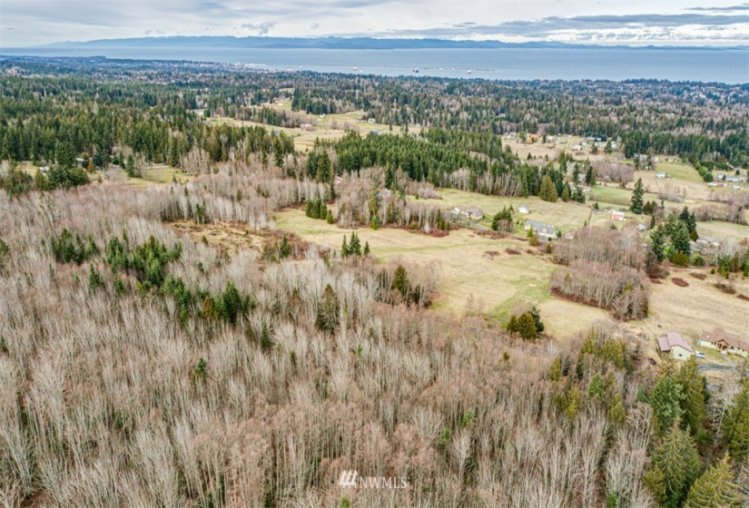 9999 Black Bear (Lot 8), Port Angeles, Washington 98362, ,Land,For Sale,Black Bear (Lot 8),NWM1879712