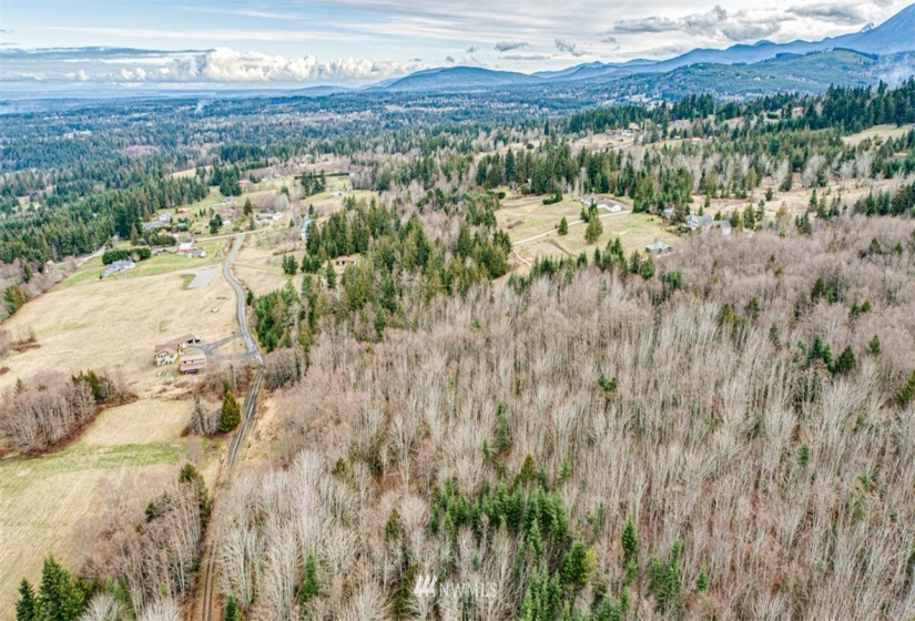 9999 Black Bear (Lot 8), Port Angeles, Washington 98362, ,Land,For Sale,Black Bear (Lot 8),NWM1879712