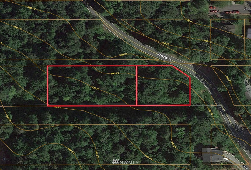 4813 Lookout, Bellingham, Washington 98229, ,Land,For Sale,Lookout,NWM1879963