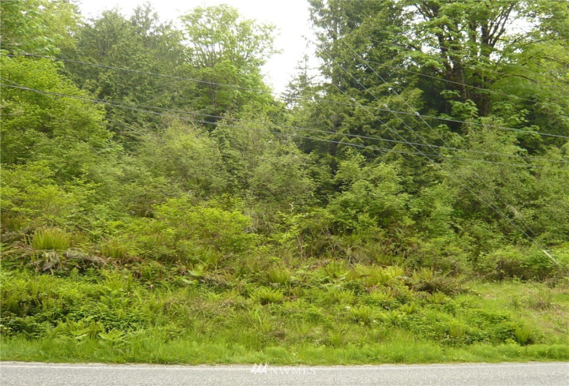 4813 Lookout, Bellingham, Washington 98229, ,Land,For Sale,Lookout,NWM1879963