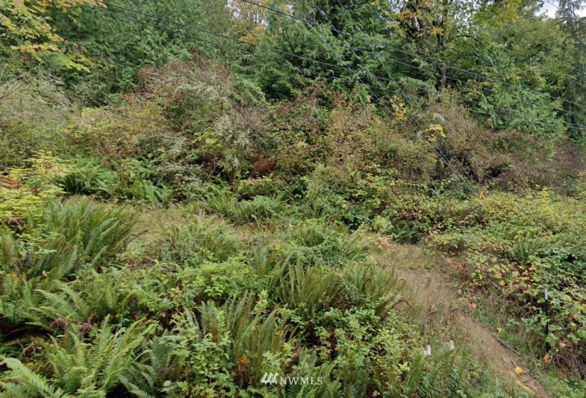4813 Lookout, Bellingham, Washington 98229, ,Land,For Sale,Lookout,NWM1879963