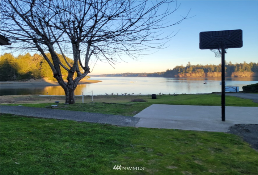 21 Sea Breeze, Grapeview, Washington 98546, 3 Bedrooms Bedrooms, ,2 BathroomsBathrooms,Residential,For Sale,Rustlewood Div 2,Sea Breeze,NWM1880370
