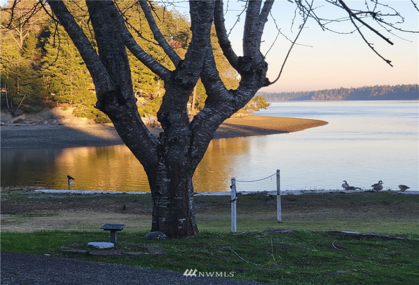 21 Sea Breeze, Grapeview, Washington 98546, 3 Bedrooms Bedrooms, ,2 BathroomsBathrooms,Residential,For Sale,Rustlewood Div 2,Sea Breeze,NWM1880370