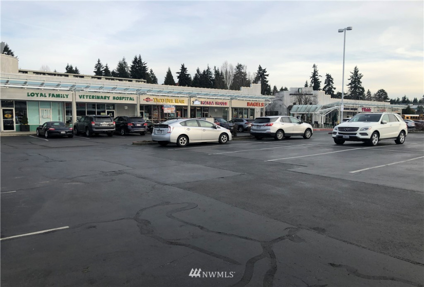 677 120th Ave NE, Bellevue, Washington 98005, ,Business Opportunity,For Sale,120th Ave NE,NWM1879010