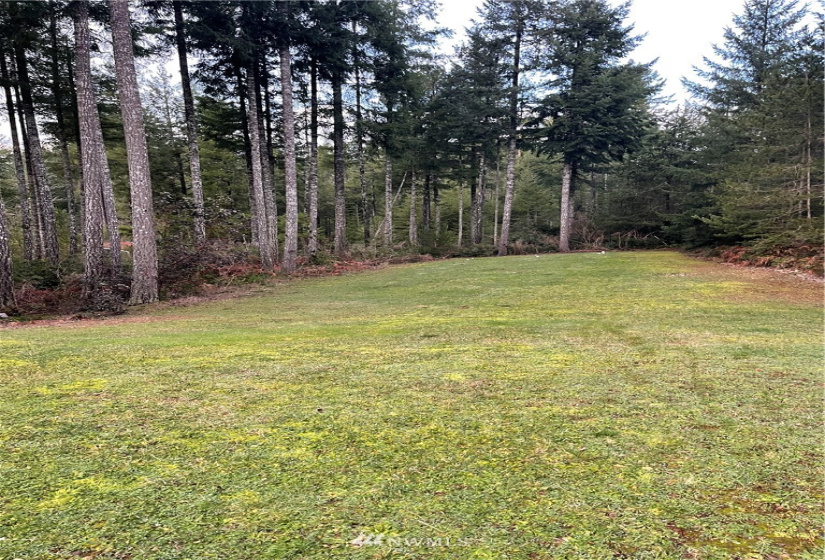 160 Peaceful, Grapeview, Washington 98546, 3 Bedrooms Bedrooms, ,2 BathroomsBathrooms,Residential,For Sale,emerald lake division 1,Peaceful,NWM1880660