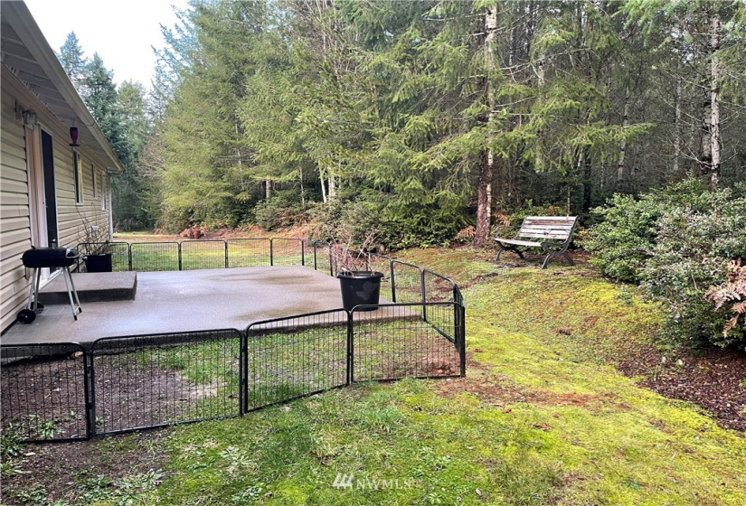 160 Peaceful, Grapeview, Washington 98546, 3 Bedrooms Bedrooms, ,2 BathroomsBathrooms,Residential,For Sale,emerald lake division 1,Peaceful,NWM1880660