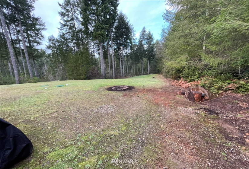 160 Peaceful, Grapeview, Washington 98546, 3 Bedrooms Bedrooms, ,2 BathroomsBathrooms,Residential,For Sale,emerald lake division 1,Peaceful,NWM1880660