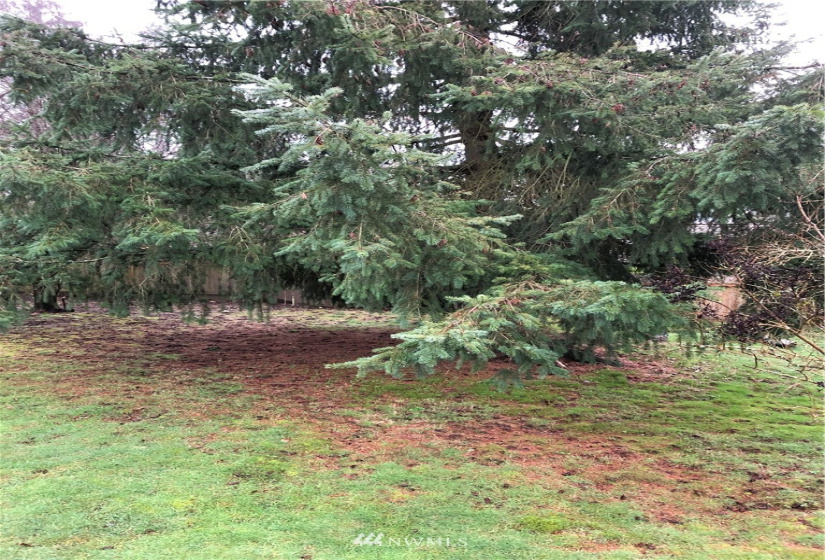 15401 177th Pl, Renton, Washington 98058, 4 Bedrooms Bedrooms, ,Residential Lease,For Rent,Candlewood Ridge Div 04,177th Pl,NWM1880715