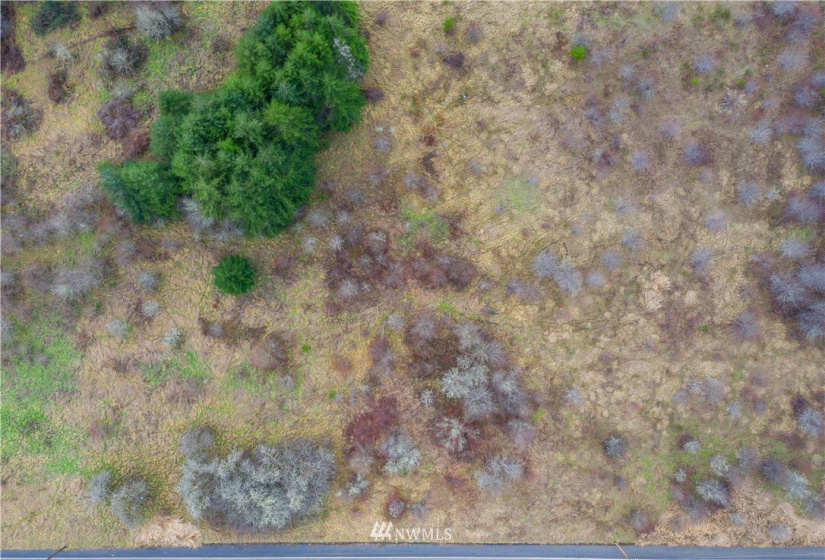 0 Bunker Creek, Adna, Washington 98522, ,Land,For Sale,Bunker Creek,NWM1878306