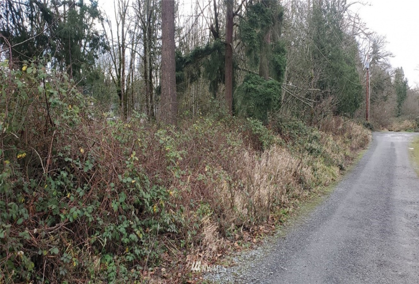 35452 54th, Auburn, Washington 98001, ,Land,For Sale,Jovita Heights,54th,NWM1690756