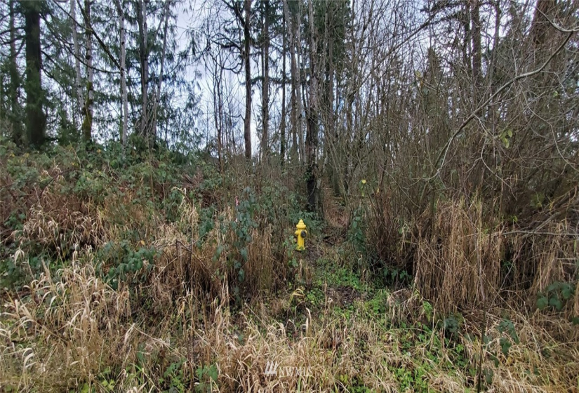 35452 54th, Auburn, Washington 98001, ,Land,For Sale,Jovita Heights,54th,NWM1690756