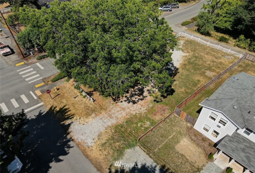 32200 Rutherford, Carnation, Washington 98014, ,Land,For Sale,Rutherford,NWM1880740