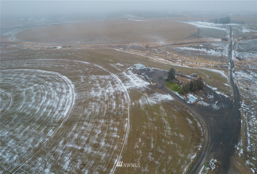 19835 Road 6, Warden, Washington 98857, 3 Bedrooms Bedrooms, ,2 BathroomsBathrooms,Farm,For Sale,Road 6,NWM1877062
