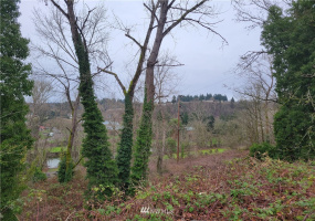 298 Renton, Renton, Washington 98055, ,Land,For Sale,Renton,NWM1880528