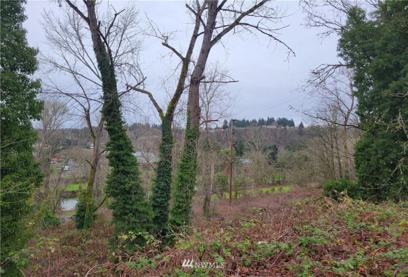 298 Renton, Renton, Washington 98055, ,Land,For Sale,Renton,NWM1880528