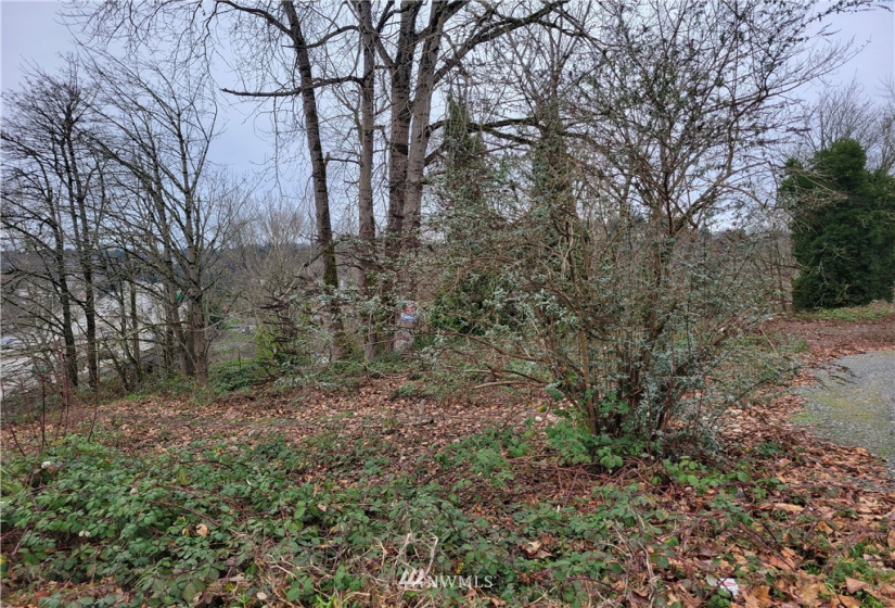 298 Renton, Renton, Washington 98055, ,Land,For Sale,Renton,NWM1880528