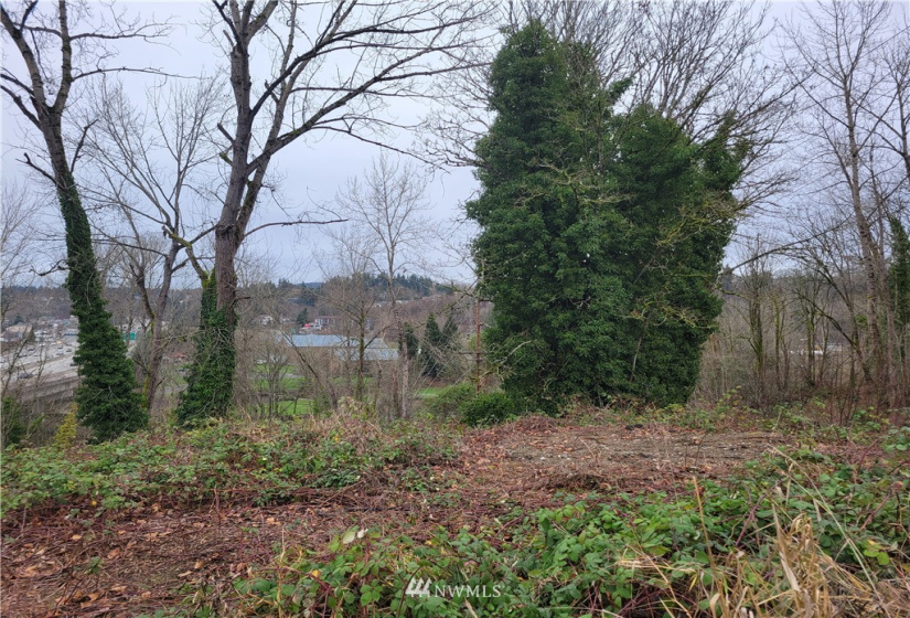 298 Renton, Renton, Washington 98055, ,Land,For Sale,Renton,NWM1880528