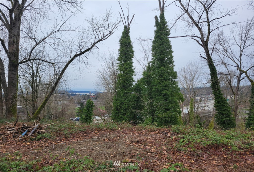 298 Renton, Renton, Washington 98055, ,Land,For Sale,Renton,NWM1880528