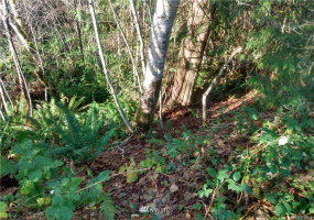 0 XXX Alder, Elma, Washington 98541, ,Land,For Sale,Meadowood,XXX Alder,NWM1880814