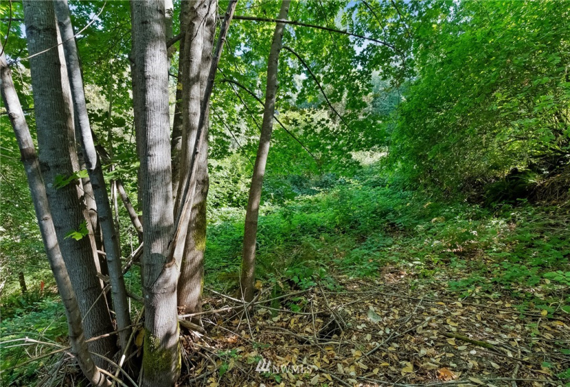 0 3rd, Fox Island, Washington 98333, ,Land,For Sale,3rd,NWM1869414