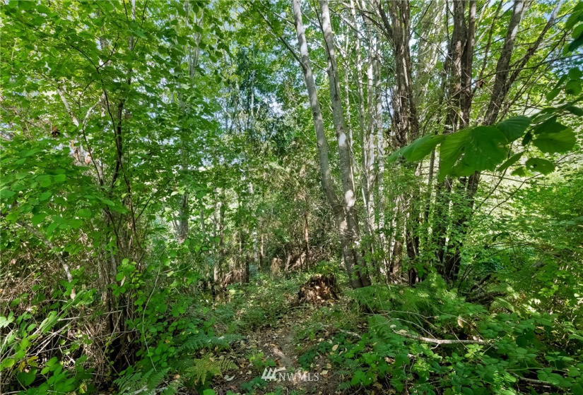 0 3rd, Fox Island, Washington 98333, ,Land,For Sale,3rd,NWM1869414