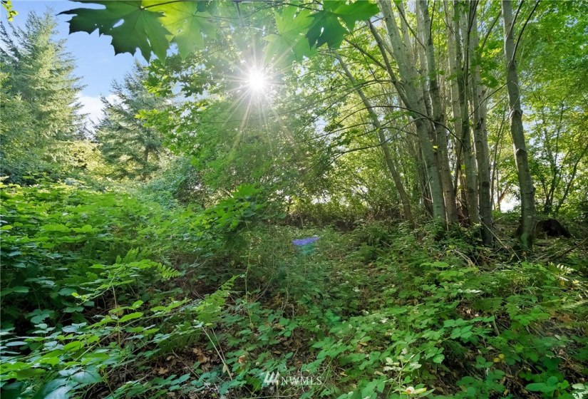0 3rd, Fox Island, Washington 98333, ,Land,For Sale,3rd,NWM1869414