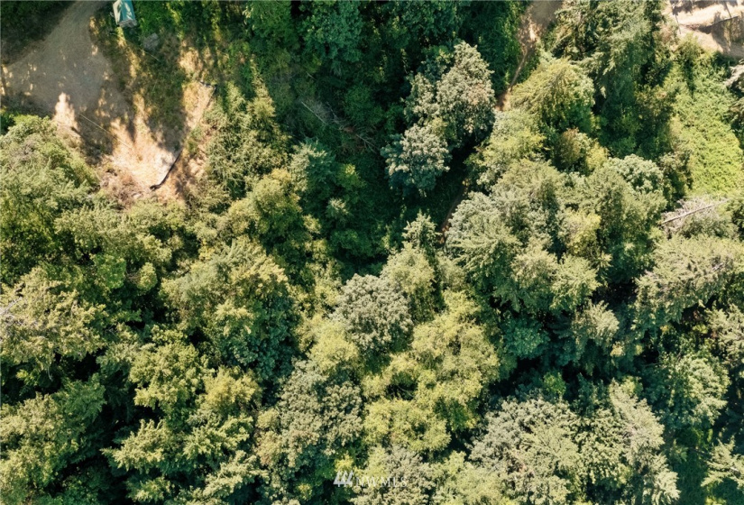 0 3rd, Fox Island, Washington 98333, ,Land,For Sale,3rd,NWM1869414