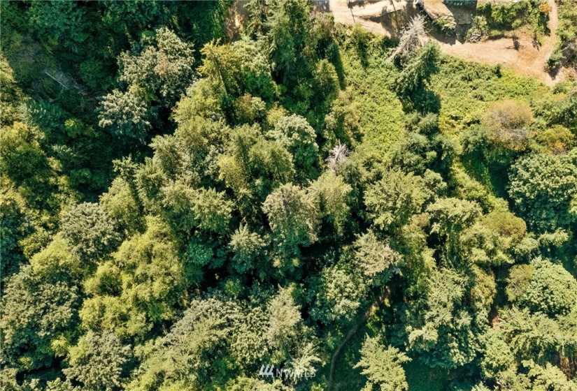 0 3rd, Fox Island, Washington 98333, ,Land,For Sale,3rd,NWM1869414