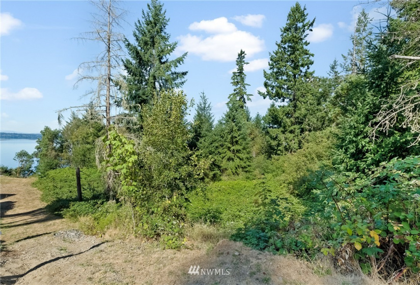 0 3rd, Fox Island, Washington 98333, ,Land,For Sale,3rd,NWM1869414