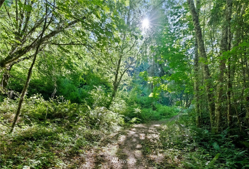 0 3rd, Fox Island, Washington 98333, ,Land,For Sale,3rd,NWM1869414