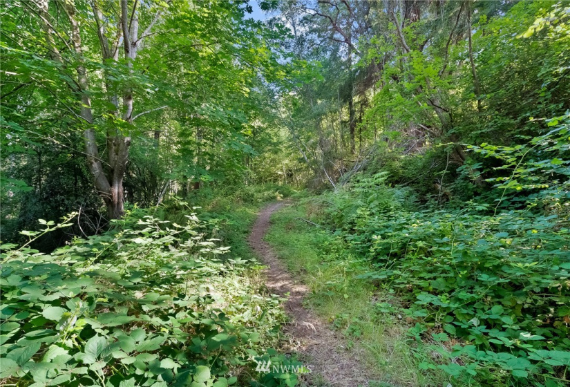 0 3rd, Fox Island, Washington 98333, ,Land,For Sale,3rd,NWM1869414