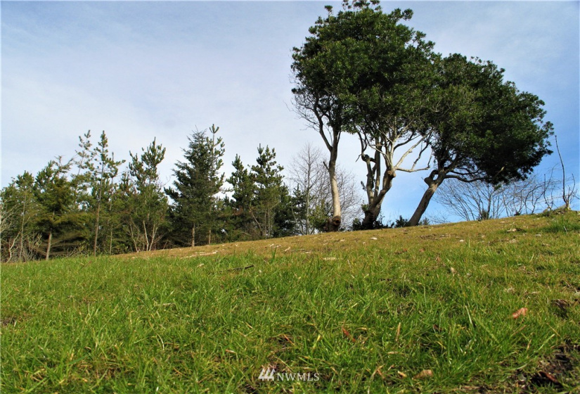 30508 K, Ocean Park, Washington 98640, ,Land,For Sale,Surfside Estates,K,NWM1879468