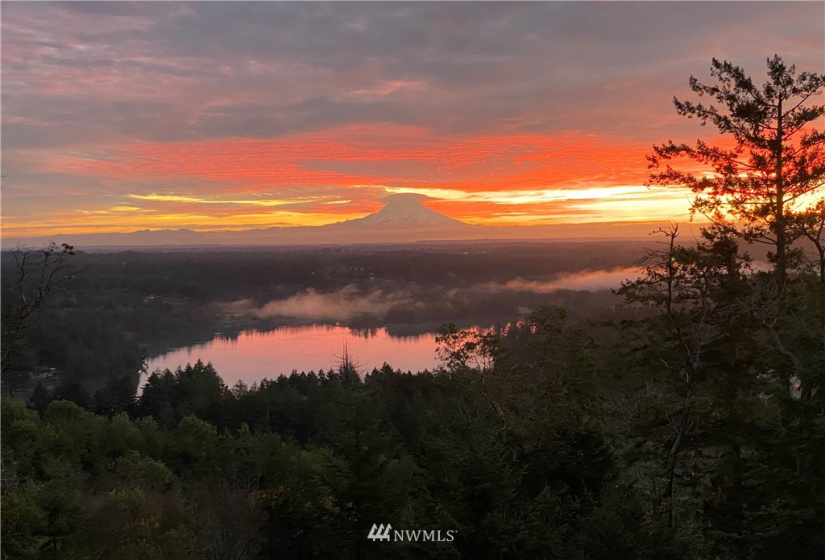6838 Old Olympic Highway, Olympia, Washington 98502, 4 Bedrooms Bedrooms, ,1 BathroomBathrooms,Residential,For Sale,Old Olympic Highway,NWM1877621