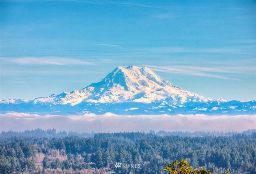 6838 Old Olympic Highway, Olympia, Washington 98502, 4 Bedrooms Bedrooms, ,1 BathroomBathrooms,Residential,For Sale,Old Olympic Highway,NWM1877621