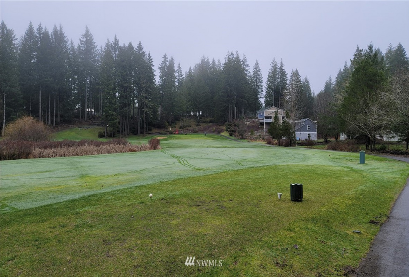 281 Road Of Tralee, Shelton, Washington 98584, ,Land,For Sale,Road Of Tralee,NWM1879256