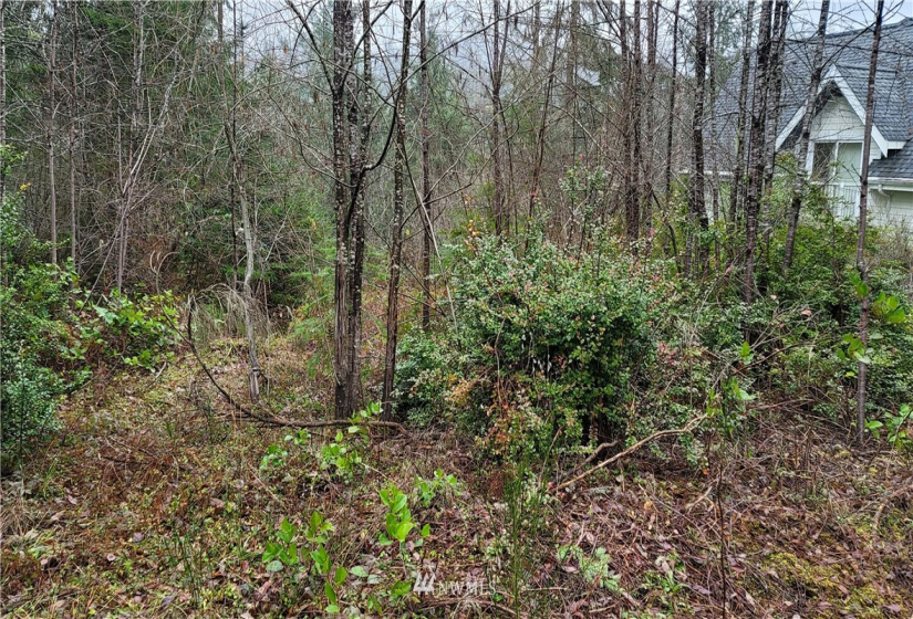 281 Road Of Tralee, Shelton, Washington 98584, ,Land,For Sale,Road Of Tralee,NWM1879256