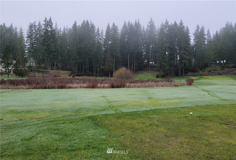 281 Road Of Tralee, Shelton, Washington 98584, ,Land,For Sale,Road Of Tralee,NWM1879256