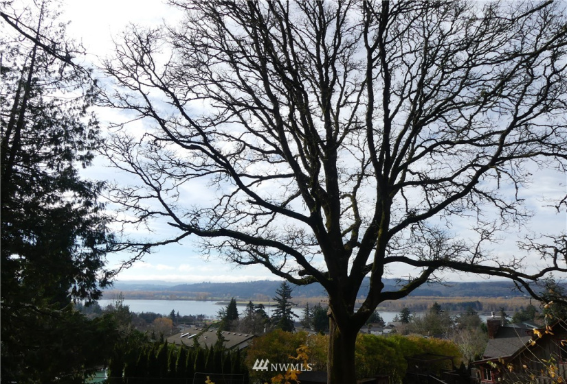 40639 Taylor, Kalama, Washington 98625, ,Land,For Sale,Taylor,NWM1880928