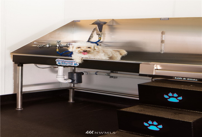 450 Main, Seattle, Washington 98104, 2 Bedrooms Bedrooms, ,1 BathroomBathrooms,Residential,For Sale,KODA Condominium,Main,NWM1876755