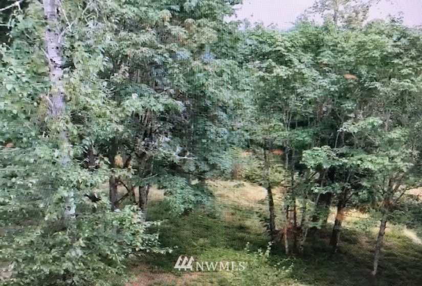 6414 74th, Puyallup, Washington 98371, ,Land,For Sale,74th,NWM1880885