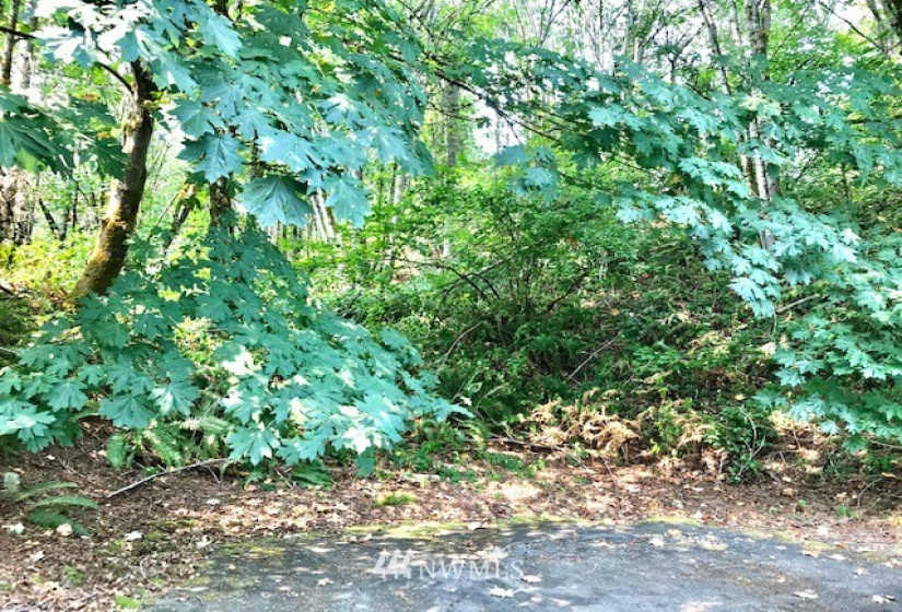 6414 74th, Puyallup, Washington 98371, ,Land,For Sale,74th,NWM1880885