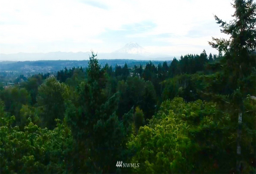 6414 74th, Puyallup, Washington 98371, ,Land,For Sale,74th,NWM1880885