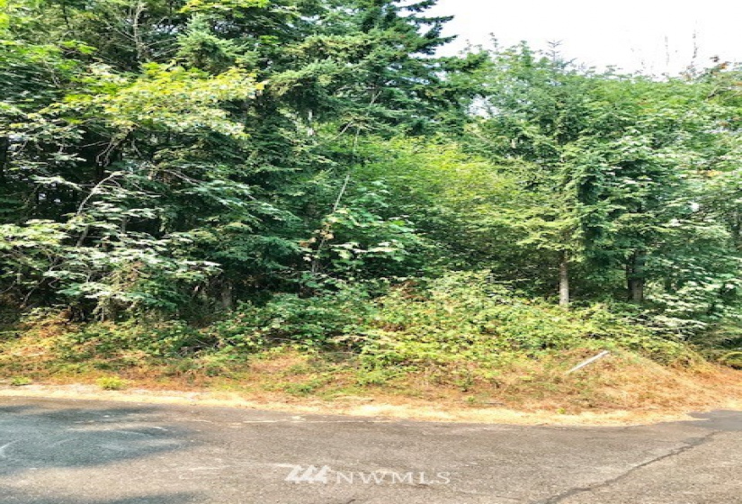 6414 74th, Puyallup, Washington 98371, ,Land,For Sale,74th,NWM1880885