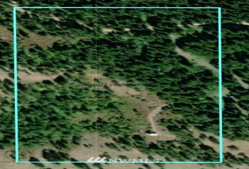 0 Lewis Peak, Waitsburg, Washington 99361, ,Land,For Sale,Lewis Peak,NWM1881049