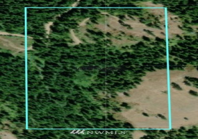0 Lewis Peak, Waitsburg, Washington 99361, ,Land,For Sale,Lewis Peak,NWM1881041